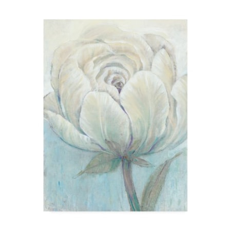 Tim O'Toole 'English Rose I' Canvas Art,14x19